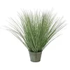 Image de Europalms 82600145 Ornamental Grass, 65 cm