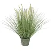 Image de Europalms Herbe Ornementale Plante Artificielle Fausse, Floraison, 70 cm, Multicolore, Taille Unique