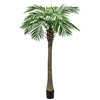 Image de Europalms 82510720 Phoenix Palm Tree Luxor, 150 cm, Multicolore, Taille Unique