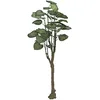 Image de Europalms Pothos Arbre 150 cm