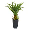 Image de Europalms 82600160 Plante Artificielle Agave avec Vase, 75 cm