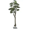 Image de Europalms Pothos Arbre 175 cm
