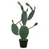 Image de EUROPALMS 82600064 Cactus artificiels 76 cm