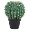 Image de Europalms 82600063 Cactus Artificiel Rond avec Vase, Vert, 34 cm