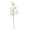 Image de Europalms Plante Artificielle Branche de CLEMATIDE Eva, Blanc, Standard
