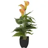 Image de Europalms Mini Calla Jaune Orange 43 cm