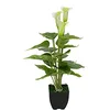 Image de Europalms Mini Calla, blanc, 43 cm