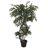 Image de Europalms Ficus pi en Spirale Tronc, 130 cm