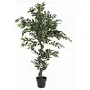 Image de Europalms Ficus Arbre de Forêt 110 cm