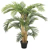 Image de Europalms 82511361 Kentia Palma, 140 cm