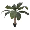 Image de Europalms 82509503 Banana Arbre 100 cm Multicolore Taille Unique