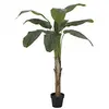 Image de Europalms Bananenbaum, Kunstpflanze, 145 cm (82509504). Marque :