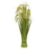 Image de Europalms 82600136 Canne à Gazon Mazzo, 118 cm, Multicolore, Taille Unique