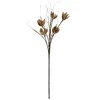 Image de Europalms 82532005 Chaussettes en Forme de Branche EVA Beige Taille Unique 100 cm