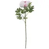 Image de Europalms Peonia Ramo Classico, Rosa, 80cm