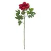 Image de Europalms Peonia Ramo Classico, Magenta, 80 cm