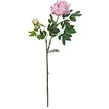 Image de Europalms Bouquet de Pivoine, Rose, 100 cm, Multicolore, Taille Unique