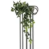 Image de Europalms Pothos Bush Viticcio Classico, 100 cm, Standard