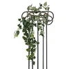 Image de Europalms Filodendro Boeuf classique, 60 cm, vert