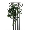 Image de Europalms Coffre-Fort Lierre Classique, 60 cm, Multicolore, Taille Unique
