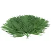 Image de EUROPALMS Coconut Palm Branch 90cm 12x