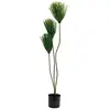 Image de EUROPALMS Papyrus Plante Artificielle en polyéthylène Facile d'entretien 100 cm
