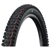 Image de SCHWALBE Albert Gravity Pro, TLR