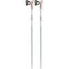 Image de LEKI Bâton de Marche Nordique Passion pour Homme et Femme, Vert fumé/Blanc/Anthracite foncé 105