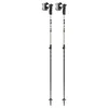Image de LEKI Detect S Vario Alpin 65567981 Bâtons de ski réglables 110-140 cm