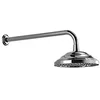 Image de Dornbracht Madison Regenbrause mit Wandanbindung, 450 mm platin matt 28545977-06 - Ausladung 450