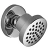 Image de Dornbracht Meta.02 Seitenbrause platin matt 28518979-06 - Rosette ø 55 mm - Antikalk-System -