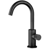 Image de Dornbracht META robinet à colonne, eau froide, saillie 123 mm; Coloris: Noir Mat