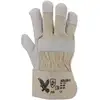 Image de Gants Adler-C T. 10,5 couleurs naturelles cuir fleur de vachette ASATEX