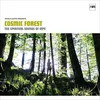 Image de Disques vinyle Jazz Warner Music Nicola Conte Presents: Cosmic Forest