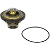 Image de WAHLER 4174.79D Refroidissements Moteur