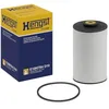 Image de Hengst E10KFR4 D10 Filtre ? Carburant