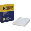 Image de HEN E3900LI Chauffage
