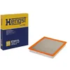 Image de HENGST 7629310000 Filtre à air
