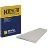 Image de HENGST FILTER Filtre (air intérieur) E6963LI