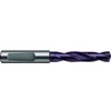 Image de Gühring Foret hélicoïdal SL WN VHM FIRE refroidissement interne queue 6537HE 3xD 10,32mm