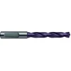 Image de Gühring Foret hélicoïdal SL WN VHM FIRE queue 6537-HE 5xD 8,70 mm