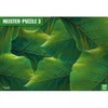 Image de Puls Entertainment MEISTER-PUZZLE 3 : Feuilles