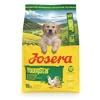 Image de JOSERA Junior YoungStar Poulet & Pommes de Terre (1 x 3 kg) | Croquettes pour Chiots de Races Moyennes et Grandes | Alimentation pour Un apport Optimal | Nourriture sèche sans céréales | Pack 1