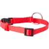 Image de Nobby Collier Classique en Nylon pour Chien Rouge 10 mm x 20/35 cm