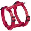 Image de Nobby Vaisselle Classic Preno Mini Rouge - L : 30-40 cm - B : 10 mm