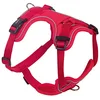 Image de Nobby 80407-01 Harnais Mailo Rouge Taille M : Tour de Poitrine 30-45 cm, Ventre 50-62 cm, Largeur 20 mm