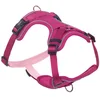 Image de Nobby 80409-64 Comfort Harnais Mailo Framboise Taille L : Poitrine 42-60 cm Ventre 65-85 cm Largeur 25 mm