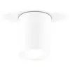 Image de EVN Kardanus plafonnier LED, Ø 9 cm, blanc