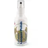 Image de Spray Polish Vernis (80 ml)