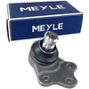 Image de Meyle